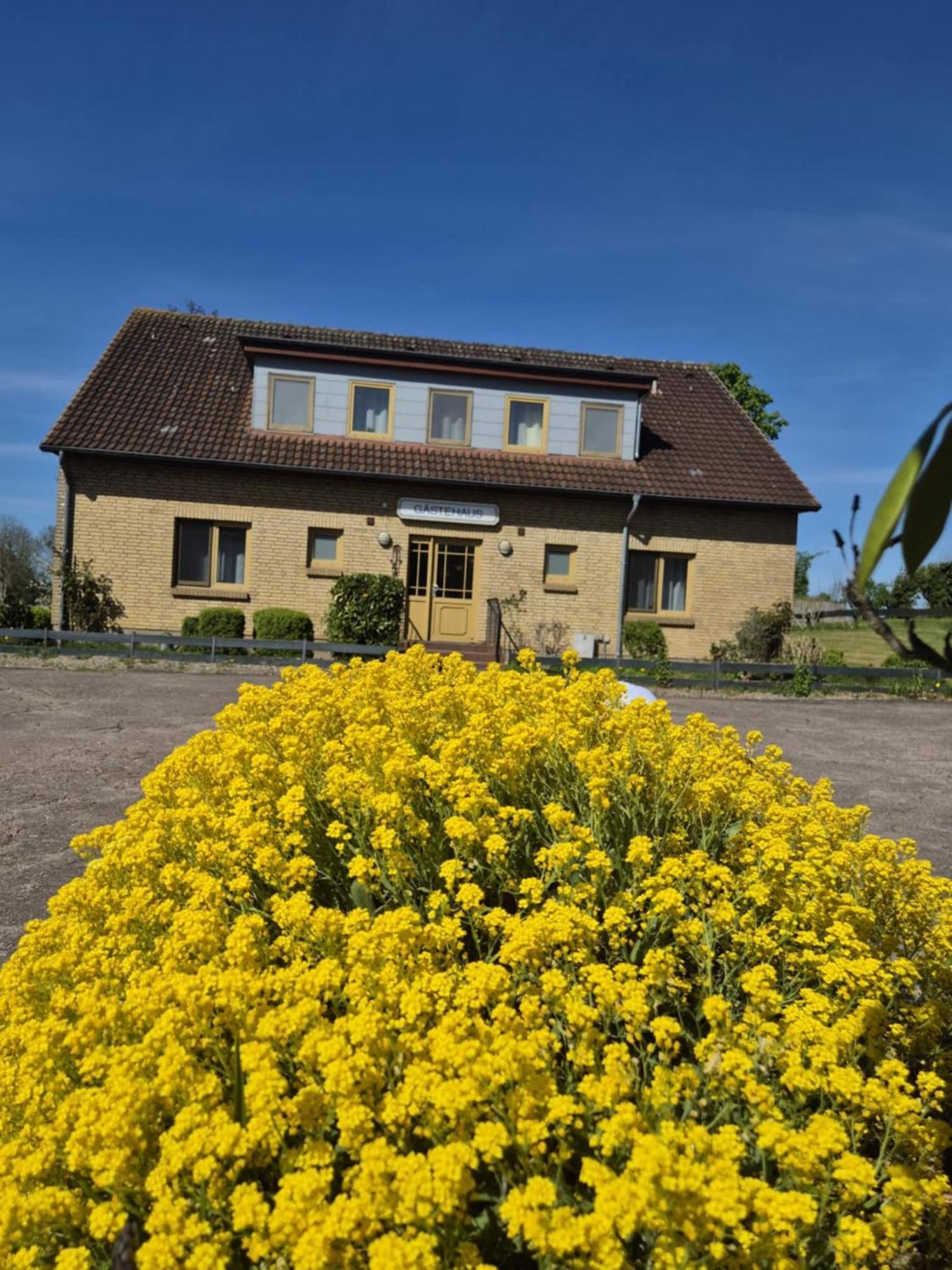 Hotel Panorama Wees Zewnętrze zdjęcie
